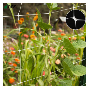 強力なPPネット水平安定化と登山家や野菜を必要とする植物と花の両方に優れたサポート - Product Image 1