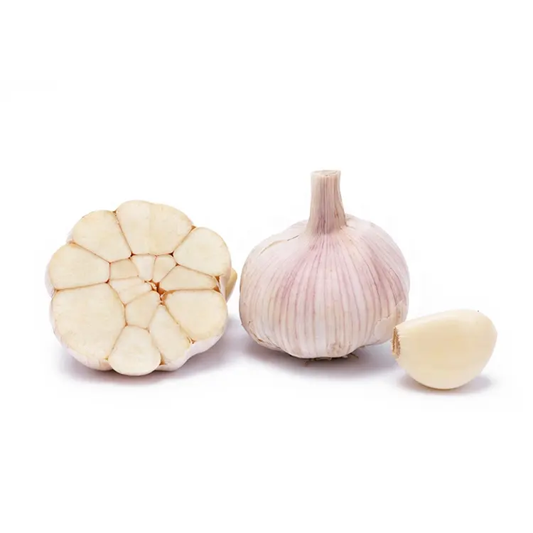 Garlic Chinese fresh hybrid garlic normal white high quality cheap price elephant garlic seeds