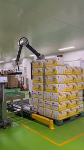 Boevan Collaborative <strong>Robot</strong> Palletizer Arm Pick and Place <strong>Palletizing</strong> <strong>System</strong> for Cobot Palletizer Price - Product Image 4