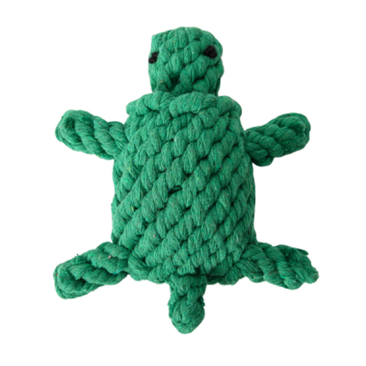 Tortue
