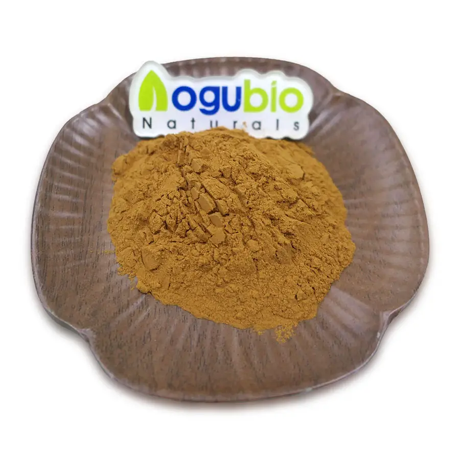 Aogubio nhà máy nóng bán feverfew chiết xuất parthenolide 1% 3% 98% feverfew chiết xuất bột
