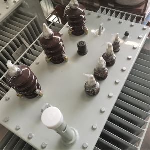 Trasformatore da 220V a 12V con ingresso 10KV trifase 100A e frequenza di uscita 380V 50/60Hz - Product Image 2