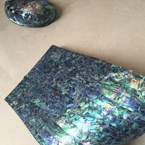 แผ่นสติกเกอร์ Paua Abalone Shell แบบยืดหยุ่น,แผ่นกระดาษ - Product Image 3
