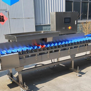 Stainless Steel 304 Shellfish <strong>Sorting</strong> Grading <strong>Machine</strong> Oyster Seafood Weight <strong>Sorting</strong> Grading <strong>Machine</strong> - Product Image 5
