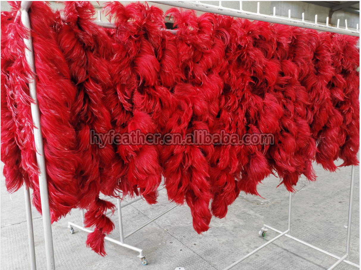 red hackle feather