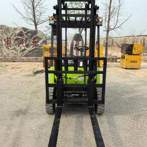 Carretilla elevadora eléctrica Duoli, carga/descarga segura rápida utilizada para industrias agrícolas de construcción, embalaje de palés, núcleo esencial - Product Image 1