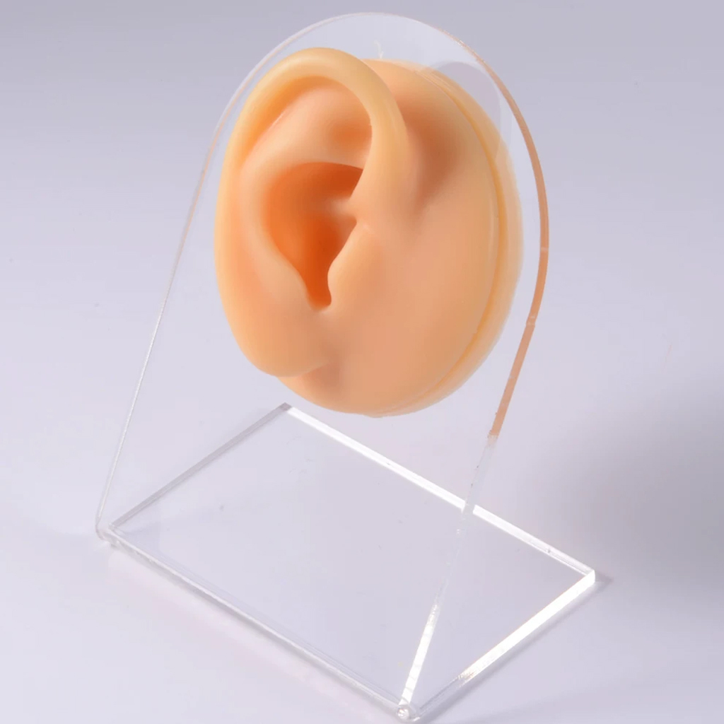 Piel de la oreja derecha