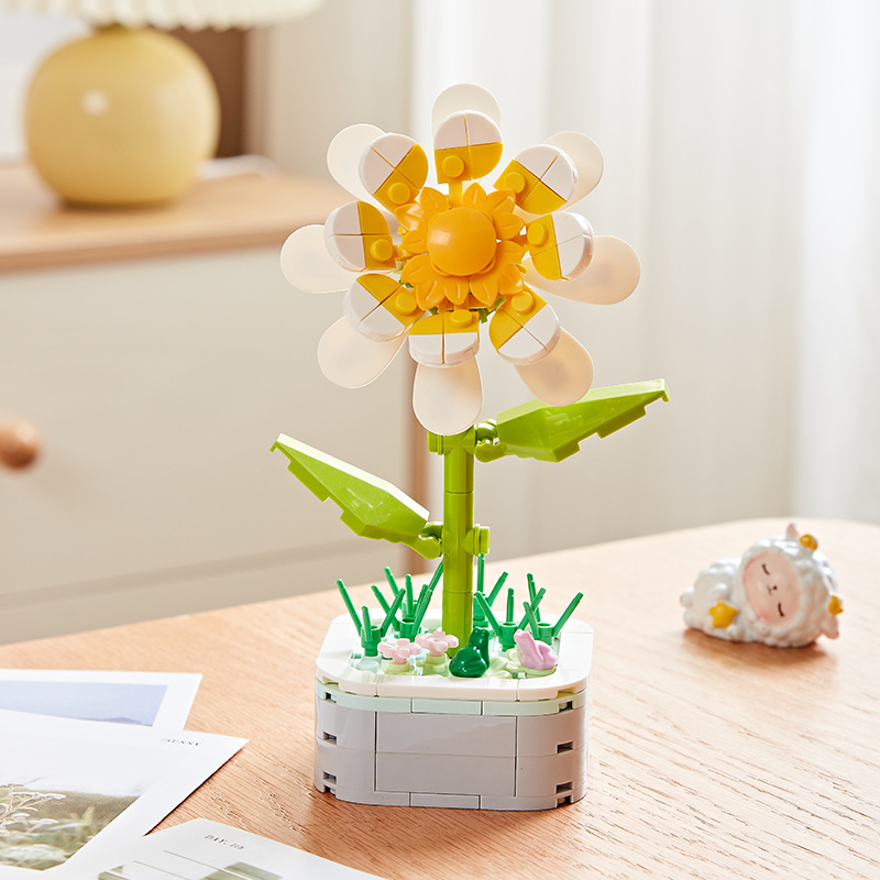 Fleur de soleil