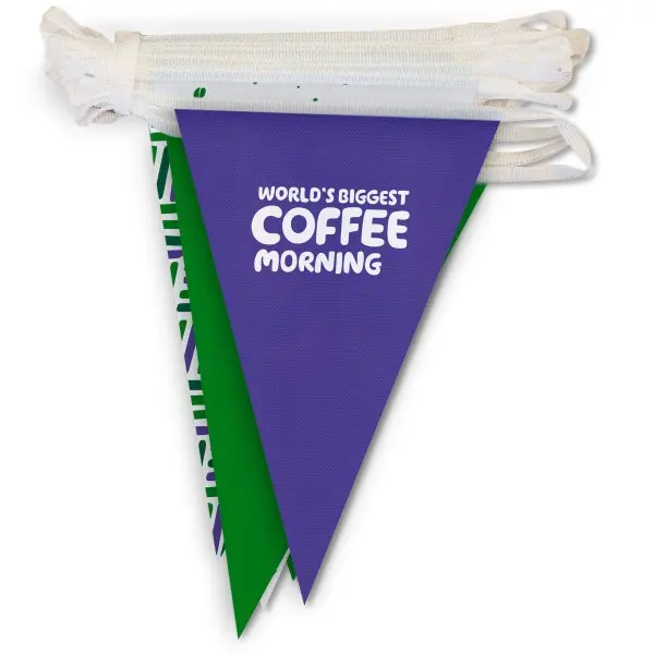 Custom Pennant Banners Event and Backstroke Bunting Flags For Bunting PVC