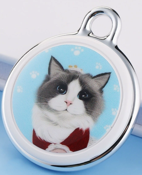 Chat mignon