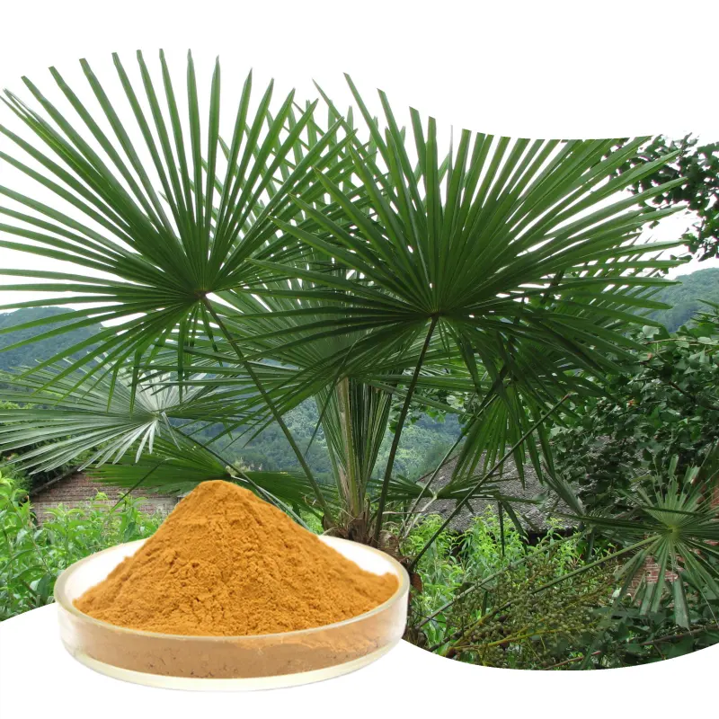 Prix de gros 100% Saw Palmetto Extract poudre d'extrait de Saw Palmetto de qualité alimentaire