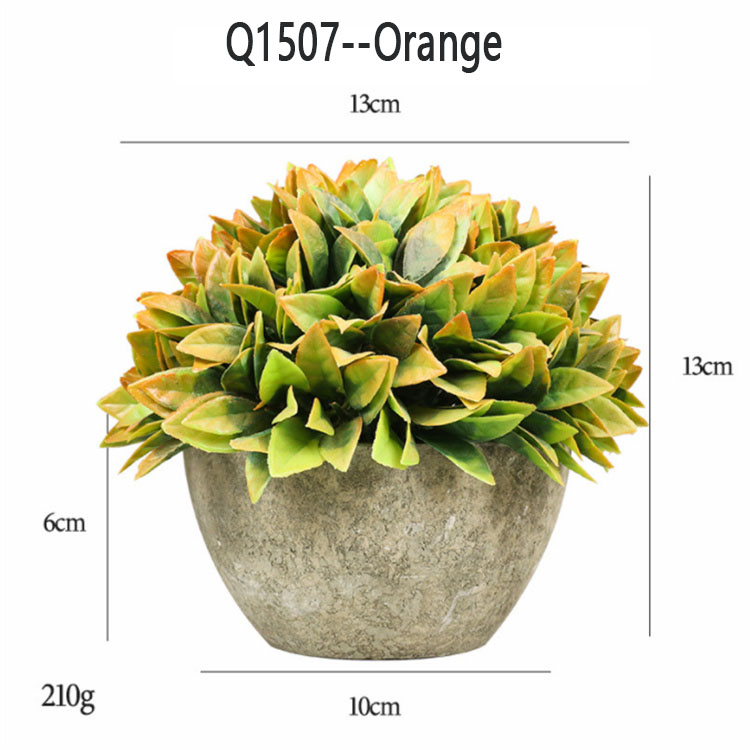Q1507 -- Orange