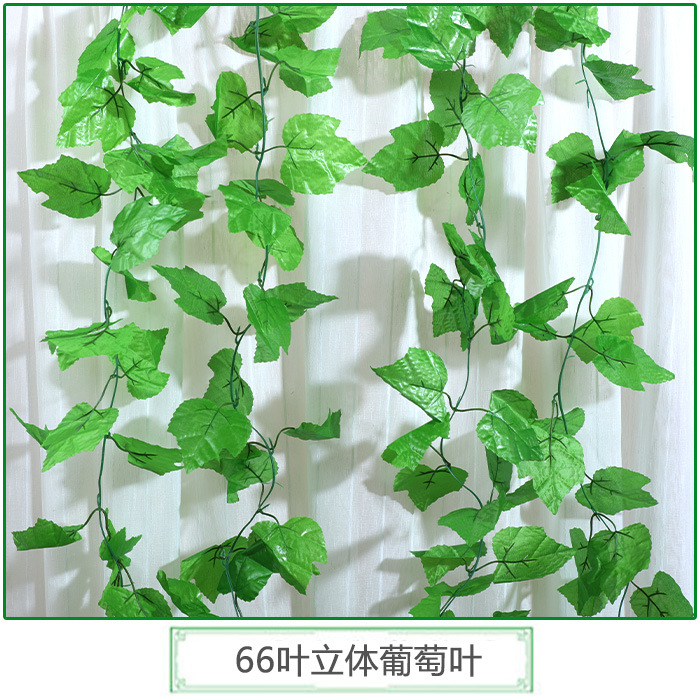 Feuille de vigne tridimensionnelle à 66 feuilles