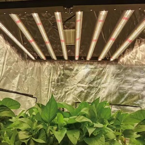 屋内植物成長システムLED屋内植物用グローライト高強度720w植物用グローライト - Product Image 4