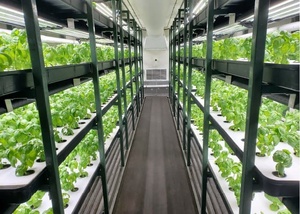 Shipping Container <strong>Type</strong> Hydroponic Barley Seed Sprouting <strong>System</strong> with Daily Capacity <strong>of</strong> 500 kg Fresh Fodder for Animal Feed - Product Image 3