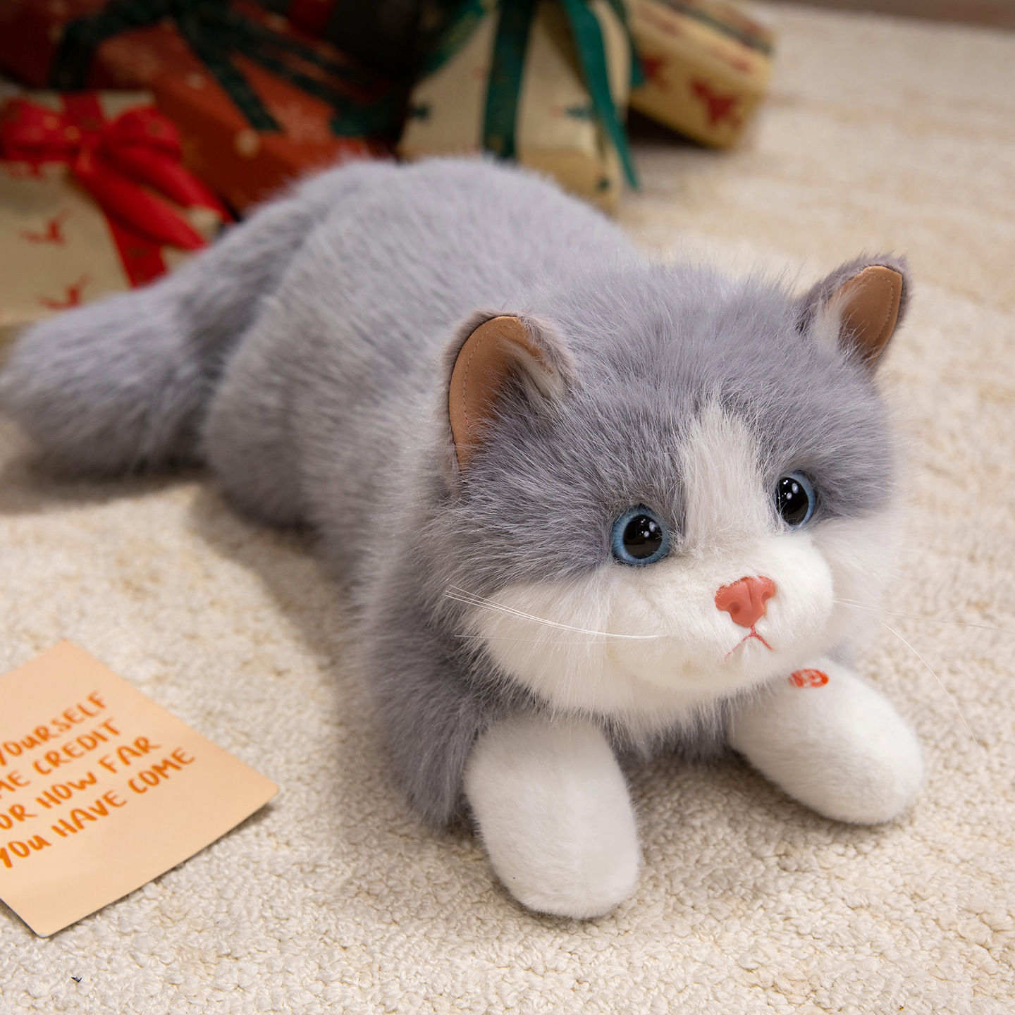 Gato Ragdoll - Gris - Auténtico
