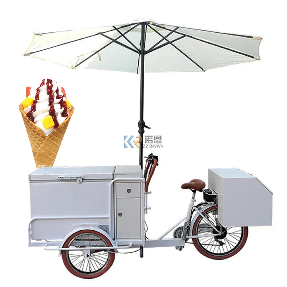 Satılık 2023 200L buzdolabı dondurma üç tekerlekli bisiklet kargo bisiklet