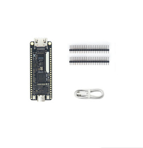 Sipeed Tang Nano 9K scheda di sviluppo FPGA GW1NR-9 RISC-V RV - Product Image 4