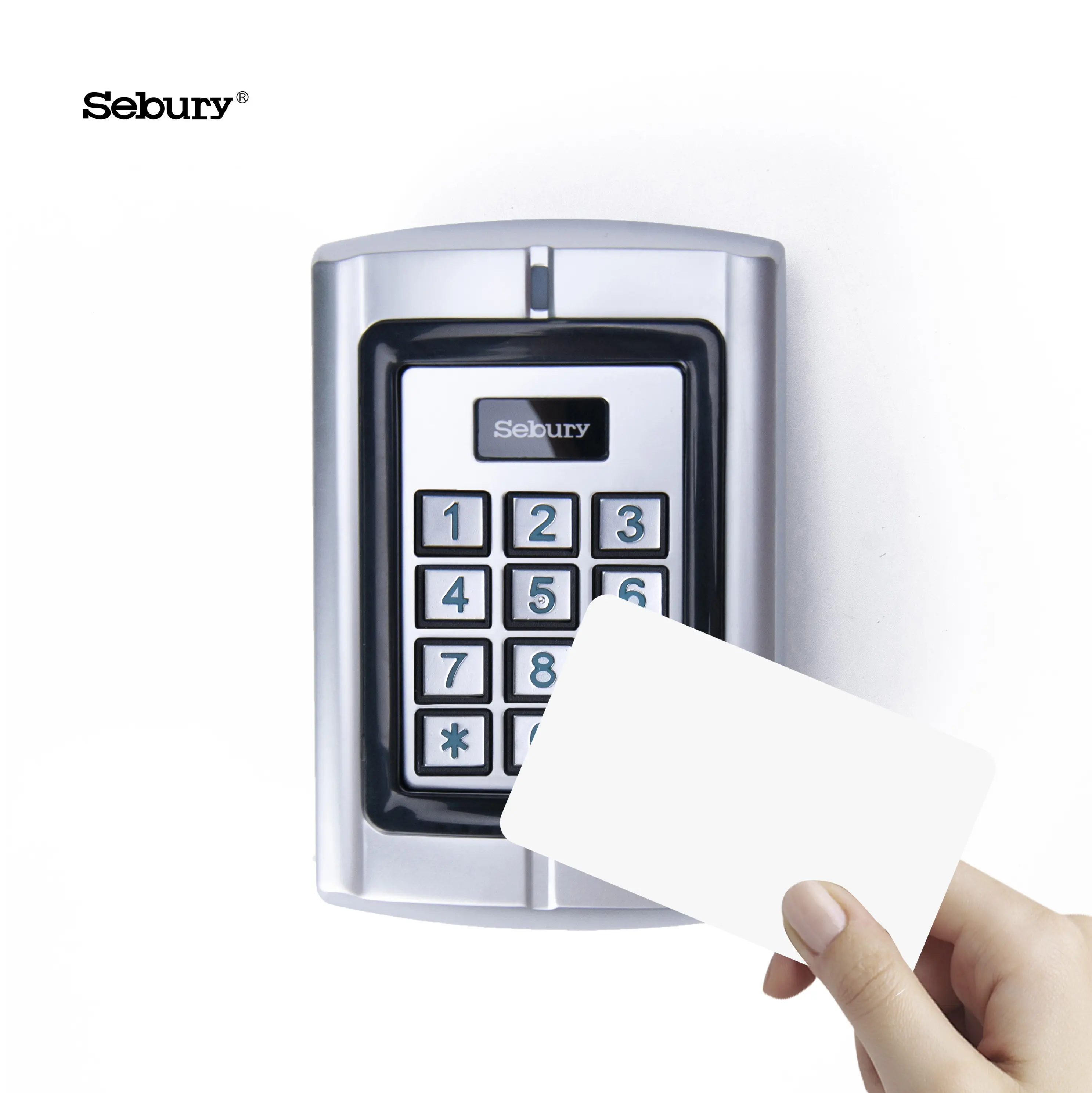 Sebury W3-H полного выдвижения Открытый водонепроницаемый магнитный дверной замок Rfid автономный контроль доступа Card Reader система контроля доступа с замком и ключом