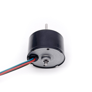 Motor BLDC de tamaño pequeño de 24V con controlador externo/interno de alta velocidad de 10000RPM, conmutación sin escobillas PWM de 12V para uso con ventilador de barco - Product Image 3
