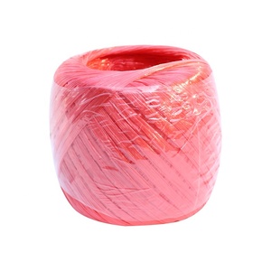 100 g/rollo de cuerda de plástico de película PP cuerda de paja y Cuerda de rafia plana para embalaje - Product Image 2