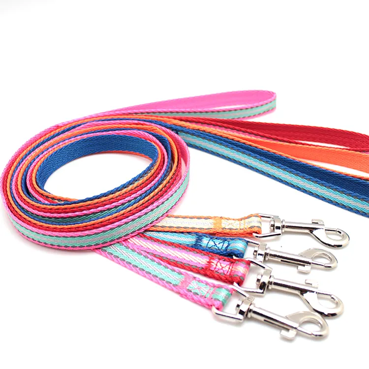 Fashionable stable colorful PP  dog leash and collar set for dog