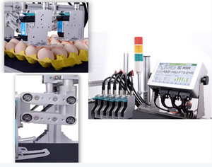 Industrial 12.7mm TIJ Inkjet Printer High-Accuracy Paper Egg Expiry Date <strong>Machine</strong> 4 Heads Flex OEM/ODM T600 - Product Image 2