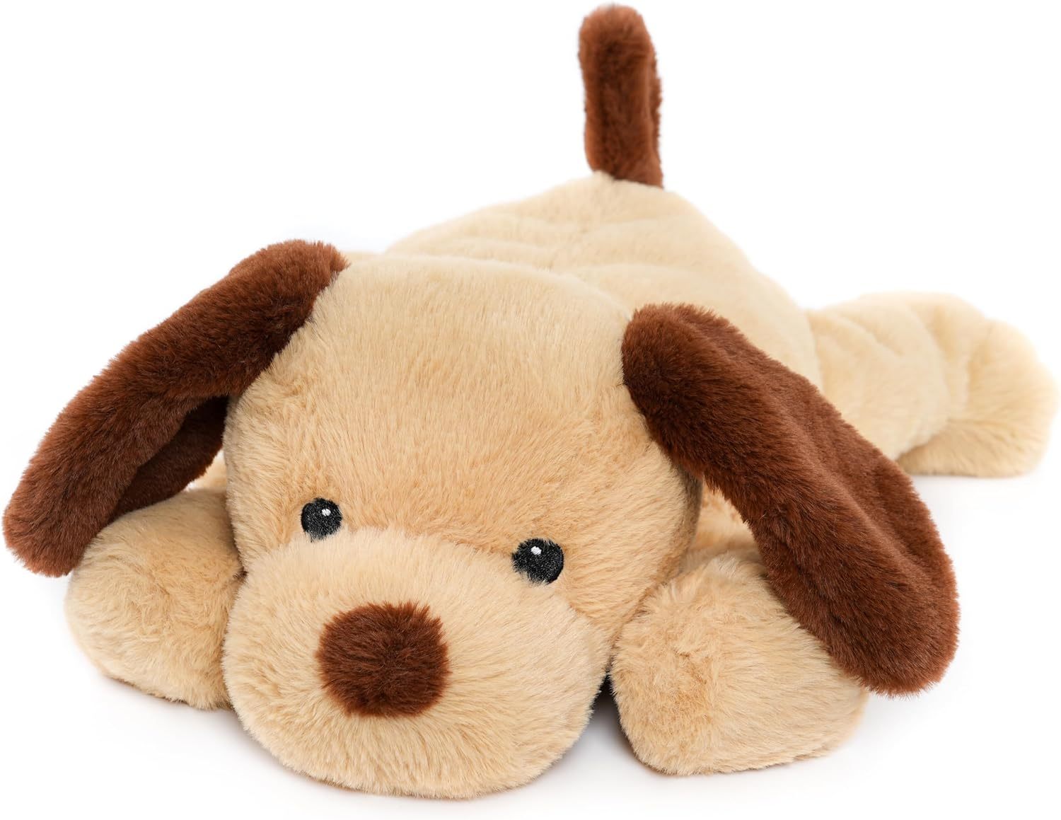 Chien