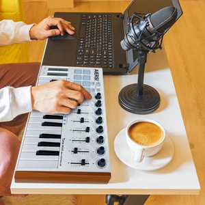 Factory Supply 25 Key <strong>MIDI</strong> <strong>Keyboard</strong> Basic <strong>Keyboard</strong> Synthes Without Sound Source - Product Image 1