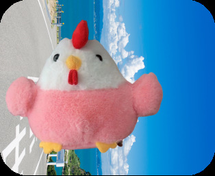 Rooster