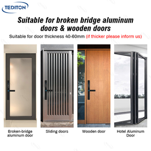Tediton tecnologia a basso prezzo bullone gancio di blocco upvc finestra in alluminio vetro finestra porta smart lucchetto wireless per cancello scorrevole - Product Image 5