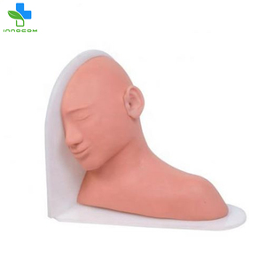 Iyi işlenmiş gerçekçi tıbbi eğitim simülatörü eğitim için kulak muayene için insan anatomik modeli büyütülmüş - Product Image 2