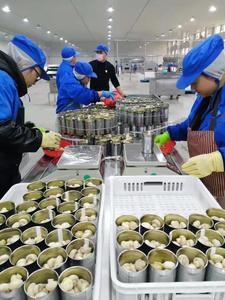 Nấm đóng hộp nút nấm đóng hộp thái lát trong nước muối nhà máy nguyên liệu - Product Image 5