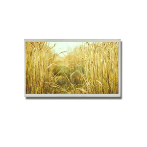 10,1 zoll 1280*800 lcd touch bildschirm mipi dsi interface lcd display - Product Image 3