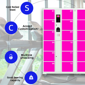 Chất lượng cao không thấm nước bưu kiện Locker Tủ 24/7 tự dịch vụ lưu trữ thông minh bưu kiện giao hàng Locker kết nối với điện thoại - Product Image 5