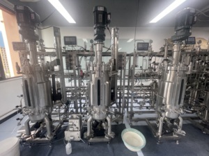 Bioreattore parallelo fermentatore laboratorio fermentazione bioreattore acciaio inox serbatoio di reazione chimica 30L