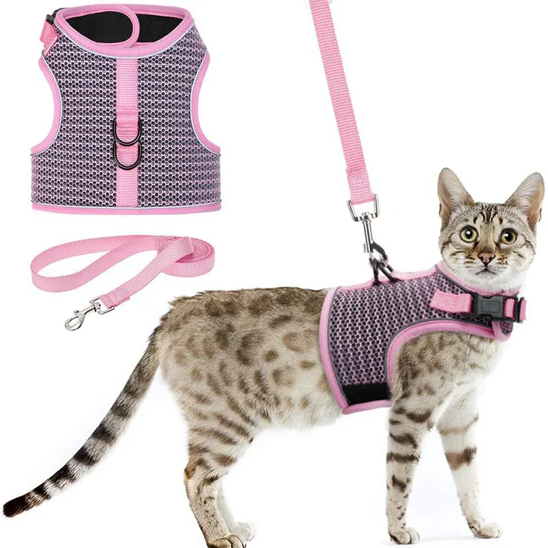 Nuevo conjunto de collares y correas ajustables impermeables para mascotas, collar de perro de lujo, arneses para gatos personalizados