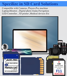 Custom Industrial SD Card C10 1GB <strong>Memory</strong> Cards