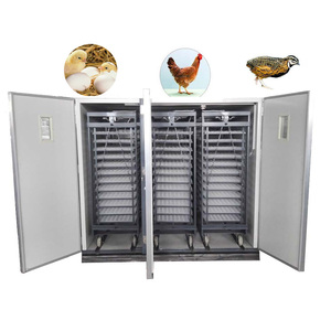 Incubateur 16896 yumurta kapasitesi kuluçka makinesi ve kuluçka couveuse automatique 16000 oeuf kuluçka makineleri yumurta kuluçkalamak HJ-I23 - Product Image 3