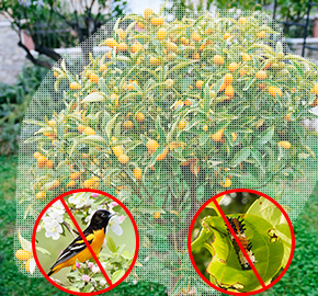 Anti Insect Netting Hdpe <strong>Bug</strong> Catching <strong>Net</strong> Uv Resistant Plastic Insect <strong>Proof</strong> 80 Mesh Anti Insect <strong>Nets</strong> for Orchard Vineyard - Product Image 4