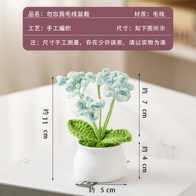 Gradient green forget-me-not potted plant