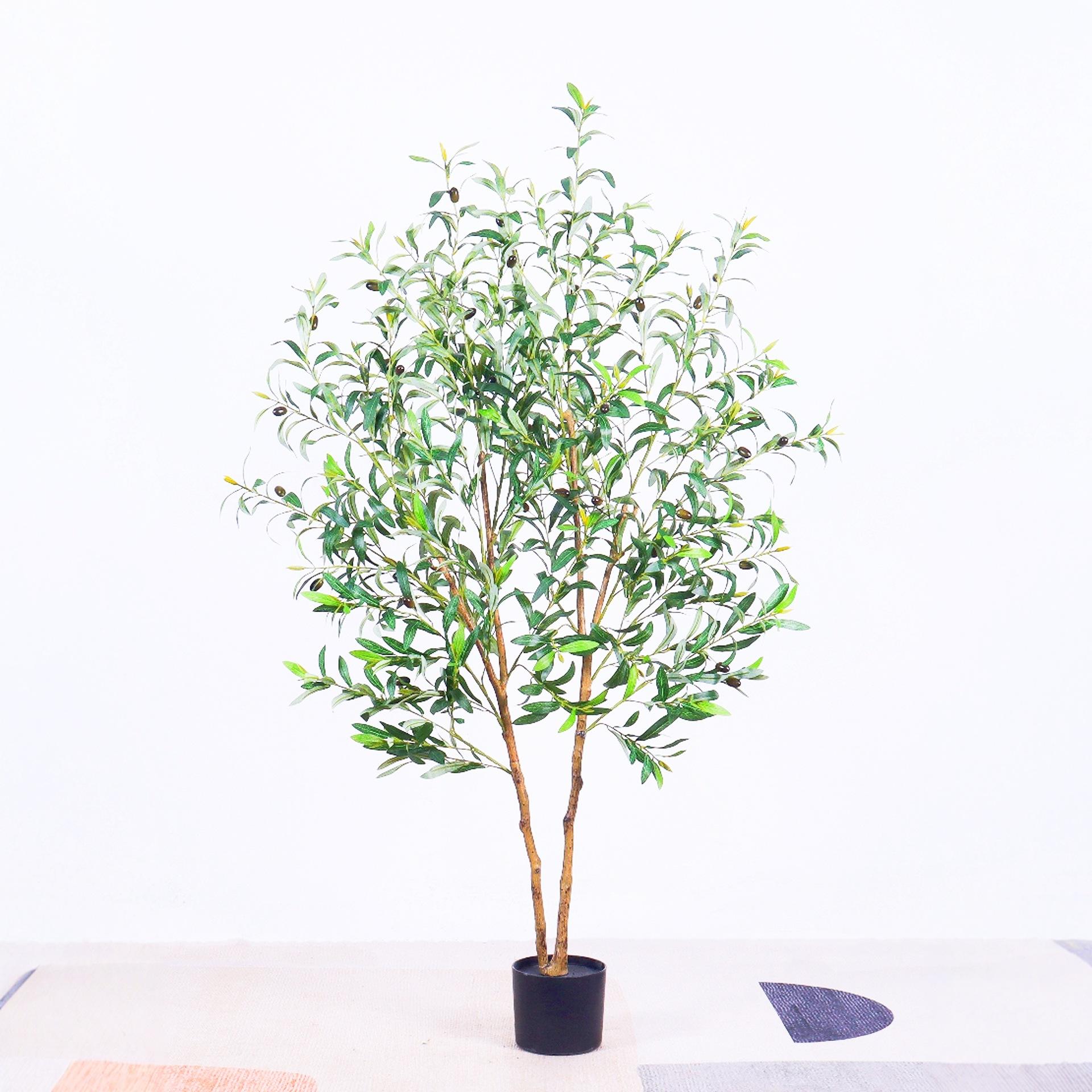 Olivier de forme spéciale de 1,5 m (version cryptée)