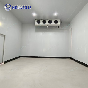 NICECOLD özelleştirilebilir soğuk oda depolama Walk-In soğutucu kutu 12X7X8 Blast dondurucu oda et depolama dondurucu - Product Image 5