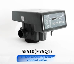 Runxin F75Q1 F75Q3 10 tonnellate/ora automatico manuale addolcitore dell'acqua valvola di controllo per 10T macchine per il trattamento delle acque - Product Image 3