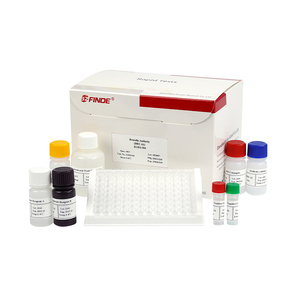 Brucellaelisaキット獣医検出Brucellosis elisaテストキット牛牛羊ヤギ用BrucellaAntibodielisaキット