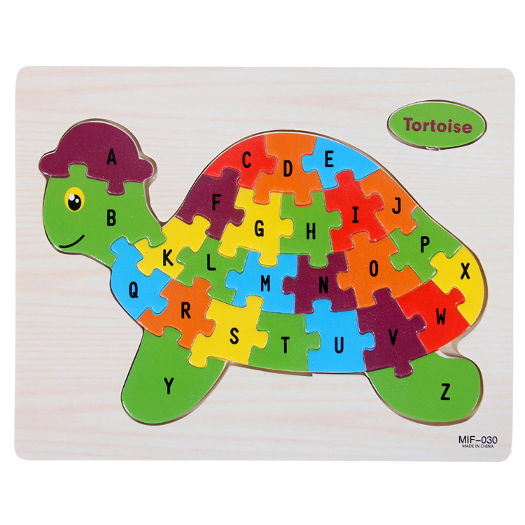 tortoise