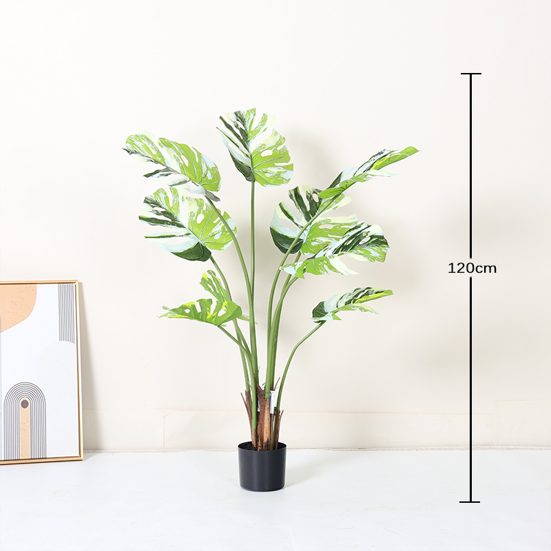 Vert 120cm
