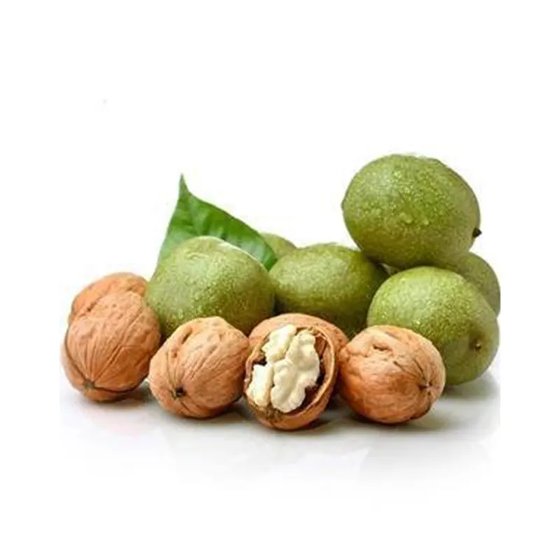 hot sale bulk nuts packaging Healthy Food Bulk Walnuts