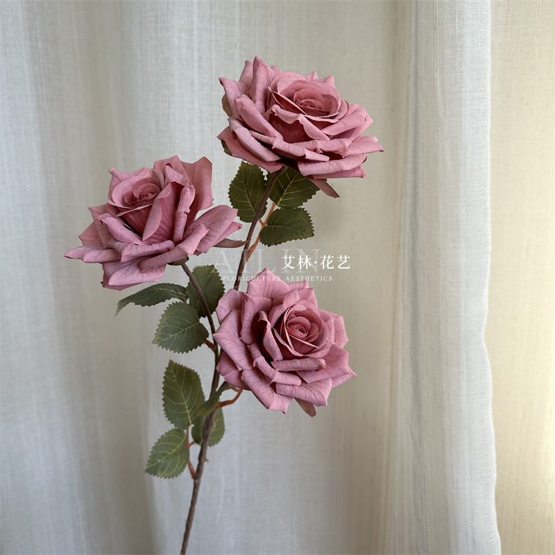 3 head mocha rose red coffee