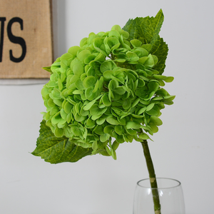 Y-H181 Chất Lượng Cao Nhân Tạo Hoa Tú Cầu Bất Cảm Ứng Cao Su Tú Cầu Lớn Đầu Màu Xanh Lá Cây Trắng Cao Su Hoa Tú Cầu Đám Cưới Hoa - Product Image 4